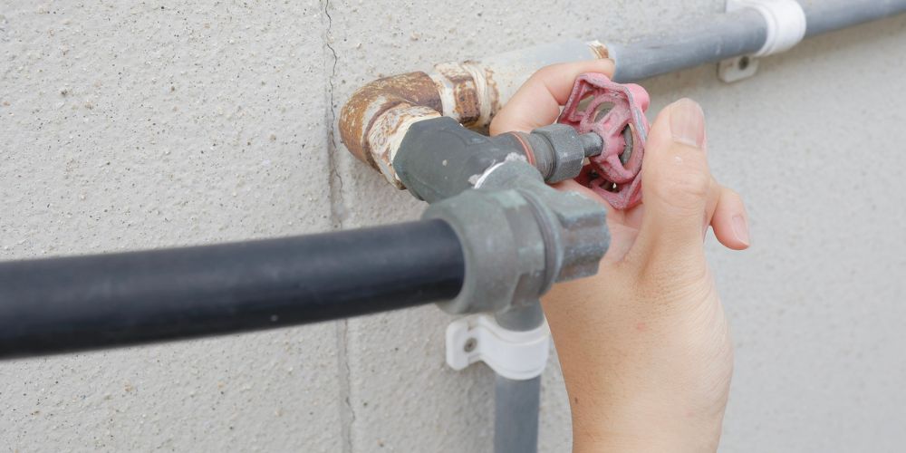 First flush system, with valve to eliminate debris. 